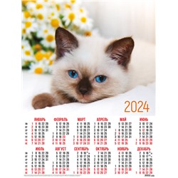 Календари листовые 10 штук A2 2024 Кошки. Сиамский котенок 31031