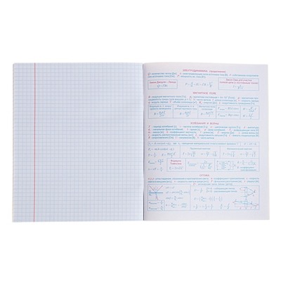 Тетрадь предметная "Домино", 48 листов в клетку, "Физика", обложка пластиковая, блок офсет