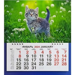Календарь моно-эконом 2024г. Животные Котёнок в траве КМ-24416