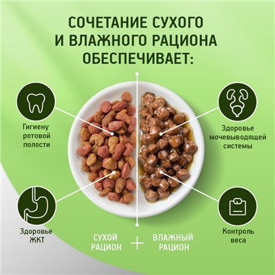 Сухой корм KiteKat "Мясной пир" для кошек, 1,9 кг