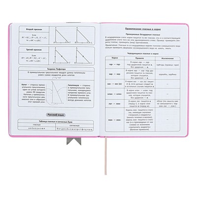 Дневник универсальный для 1-11 классов "Лента", твёрдая обложка из искусственной кожи, аппликация, шелкография, ляссе, 48 листов, розовый