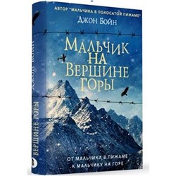 Мальчик на вершине горы. Бойн Д.