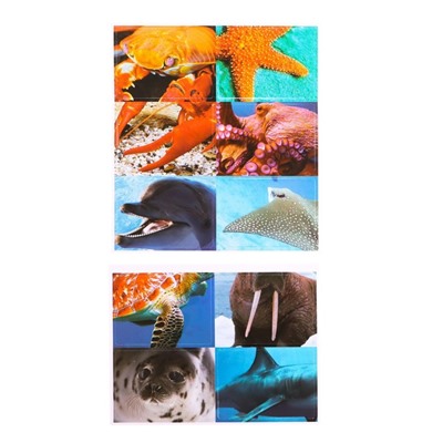 Набор фигурок животных с обучающими карточками «Водные животные»