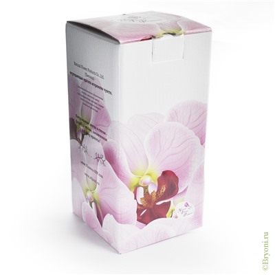 Композиция "Ангел" из натуральных орхидей (арт. OaSO2) в подарочной упаковке