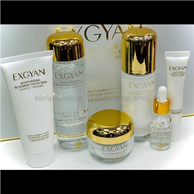 Набор EXGYAN Moisturizing Blooming Youth Skin Set (13)