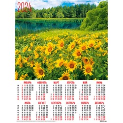Календари листовые 10 штук A2 2024 Природа. Подсолнухи 31019