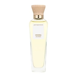 Adolfo Dominguez Agua Fresca De Mimosa Coriandro Eau de Toilette