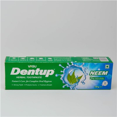 Зубная паста Дентап с нимом | Dentup Tooth Paste Neem (Vasu) 100 мл