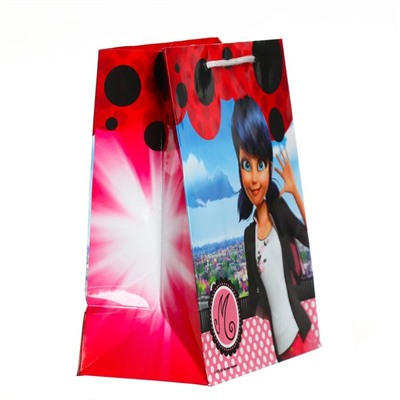 Пакет подарочный «Леди Баг и Супер-Кот. Маринет», 18 × 22,3 × 10 см