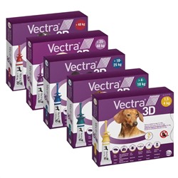 Vectra 3D für Hunde und Welpen