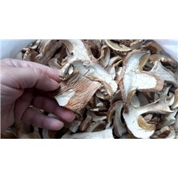Белый гриб сушёный, 50 грамм