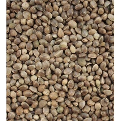 Семена конопли 0,2 кг