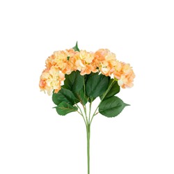 Гортензия куст (5 соцветий) - 11 расцветок