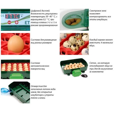 Инкубатор, на 24 яйца, автоматический переворот, 120 В