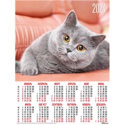 Календари листовые 10 штук A2 2024 Кошки. Серый британец 31034
