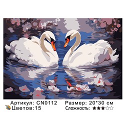 CN0112 Картины по номерам 20*30 цвет.холст