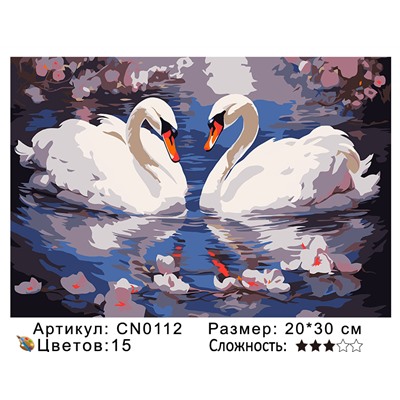 CN0112 Картины по номерам 20*30 цвет.холст