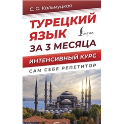 Турецкий язык за 3 месяца. Интенсивный курс