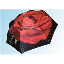 Зонт С8602 роза