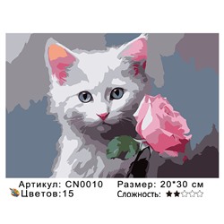 CN0010 Картины по номерам 20*30 цвет.холст