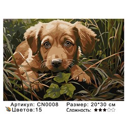 CN0008 Картины по номерам 20*30 цвет.холст