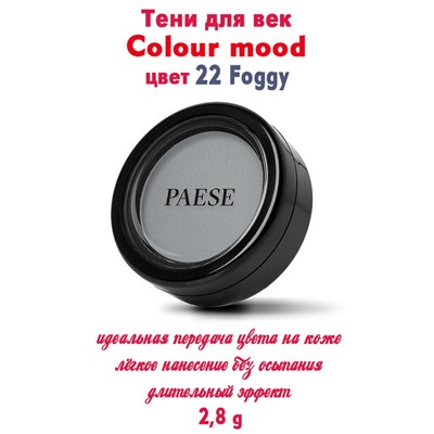 Тени PAESE Colour mood 22 Foggy