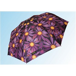 Зонт МЖ5033 фиолетовая ромашка
