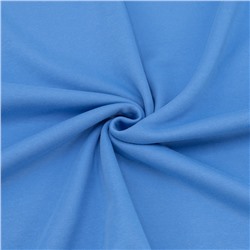 Ткань на отрез футер 3-х нитка барашек №13 цвет голубой