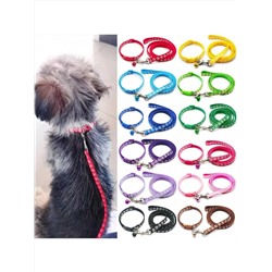 1 Set Haustierhalsband & 1,2 M Ausziehbare Leine Für Katzen Und Hunde, Zufällige Farbe