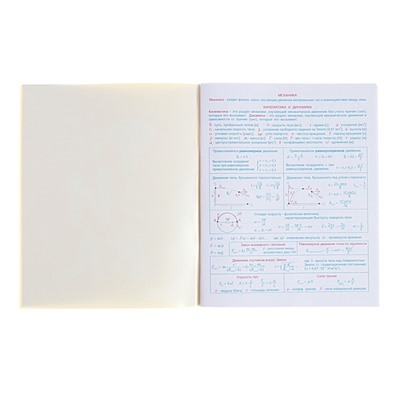 Тетрадь предметная "Домино", 48 листов в клетку, "Физика", обложка пластиковая, блок офсет