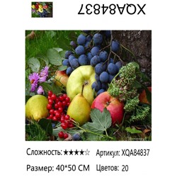 XQA84837 Мозаика 40*50 круг.стразы Под заказ