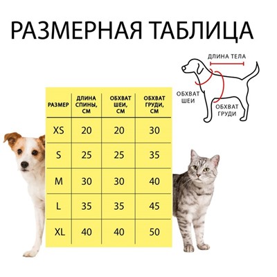 Толстовка "Милитари", размер XS (ДС 20, ОШ 20, ОГ 30 см), синяя