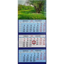 2024г. Календарь-трио Природа Летний луг КТ-24424