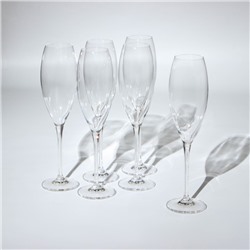 Набор бокалов для шампанского Carduelis, 6 шт, 290 мл, стекло