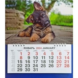 Календарь моно-эконом 2024г. Животные Щенок КМ-24411