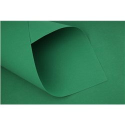 Фоамиран китайский (светло-зеленый), 1мм , 48см*48см упак. 10шт