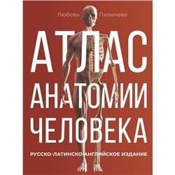 Атлас анатомии человека. Русско-латинско-английское издание