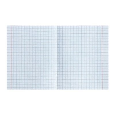 Тетрадь предметная Calligrata TOP "Анимэ", 48 листов в клетку Физика, со справочным материалом, обложка мелованный картон, блок офсет