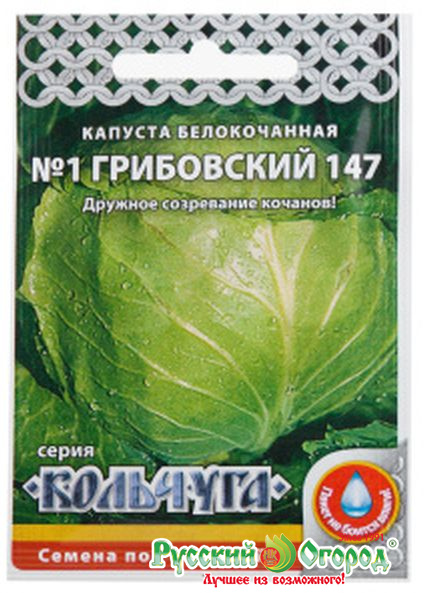 Сп капуста краснодар. Капуста б/к номер первый Грибовский 147 "Кольчуга New". Сорт капусты Кольчуга. Номер капусты. Капуста Грибовская 1 описание.