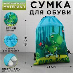 Сумка для обуви Dinotime, нетканное полотно, размер 41х31 см