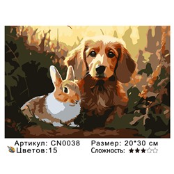 CN0038 Картины по номерам 20*30 цвет.холст