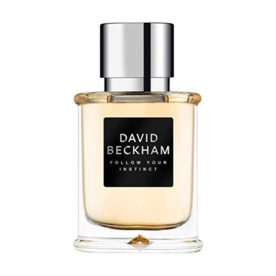 David Beckham Follow Your Instinct Eau de Toilette