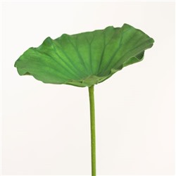 Лист лотоса, 60 см.