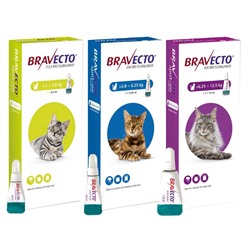 Bravecto Topische Lösung für Katzen