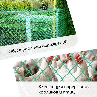 Сетка садовая, 1 × 5 м, ячейка 13 × 13 мм, для птичников, пластиковая, зелёная