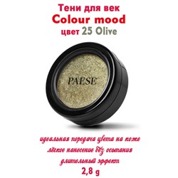 Тени PAESE Colour mood 25 Olive