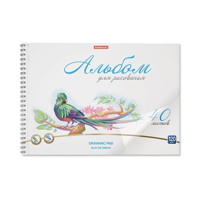 Альбом для рисования А4, 40 листов, блок 120 г/м², на спирали, Erich Krause "Birds", пластиковая обложка, 100% белизна, перфорация на отрыв, твердая подложка