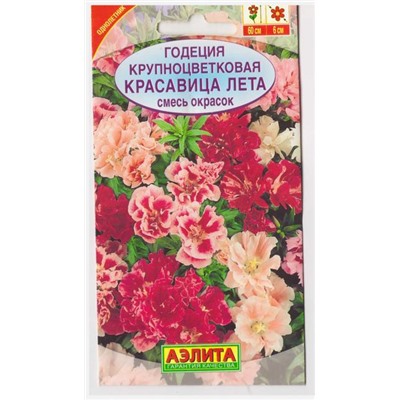 Годеция Красавица лета (Код: 2461)