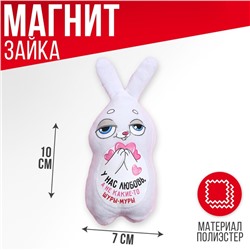 Мягкая игрушка-магнит «У нас любовь, а не какие-то шуры-муры», зайчик