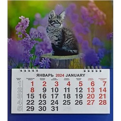 Календарь моно-эконом 2024г. Животные Котёнок на пне КМ-24404